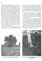 giornale/RML0024085/1937/unico/00000298
