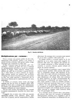 giornale/RML0024085/1937/unico/00000299