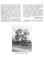 giornale/RML0024085/1937/unico/00000303