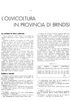 giornale/RML0024085/1937/unico/00000305