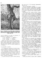 giornale/RML0024085/1937/unico/00000310