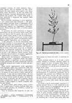 giornale/RML0024085/1937/unico/00000311