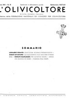 giornale/RML0024085/1937/unico/00000331