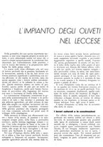 giornale/RML0024085/1937/unico/00000367