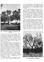 giornale/RML0024085/1937/unico/00000369