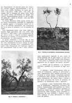 giornale/RML0024085/1937/unico/00000371
