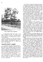 giornale/RML0024085/1937/unico/00000372