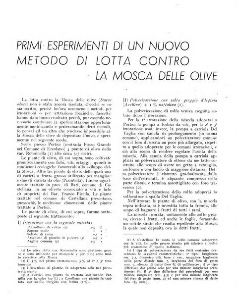 L'olivicoltore bollettino settimanale della Società nazionale degli olivicoltori