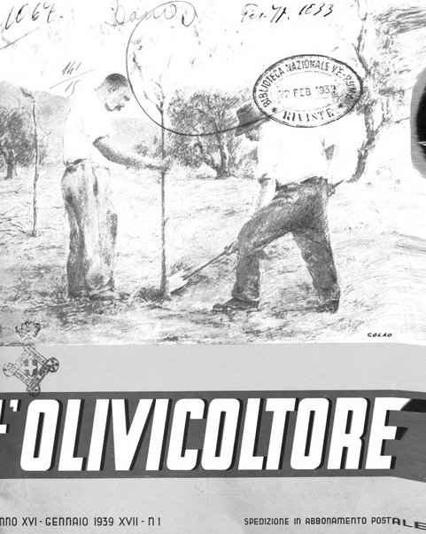 L'olivicoltore bollettino settimanale della Società nazionale degli olivicoltori