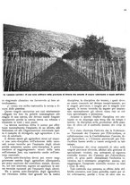 giornale/RML0024085/1939/unico/00000067