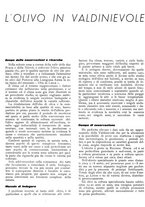 giornale/RML0024085/1939/unico/00000122