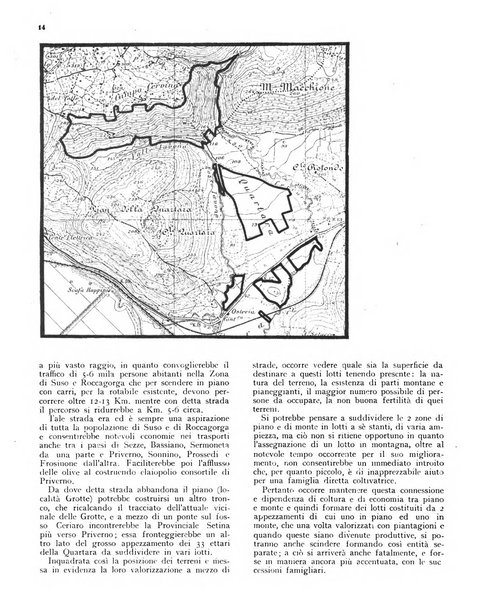 L'olivicoltore bollettino settimanale della Società nazionale degli olivicoltori