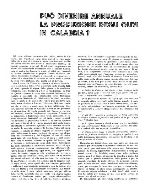 L'olivicoltore bollettino settimanale della Società nazionale degli olivicoltori