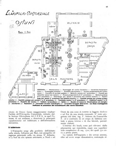 L'olivicoltore bollettino settimanale della Società nazionale degli olivicoltori