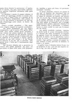 giornale/RML0024085/1939/unico/00000305