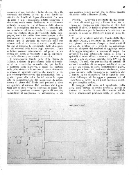 L'olivicoltore bollettino settimanale della Società nazionale degli olivicoltori