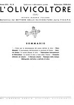 giornale/RML0024085/1939/unico/00000371