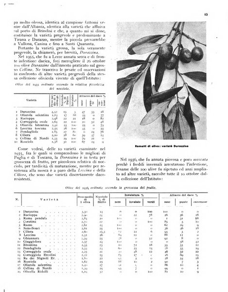 L'olivicoltore bollettino settimanale della Società nazionale degli olivicoltori