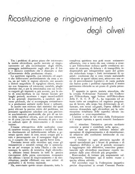 L'olivicoltore bollettino settimanale della Società nazionale degli olivicoltori