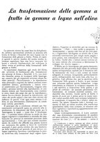 giornale/RML0024085/1940/unico/00000013