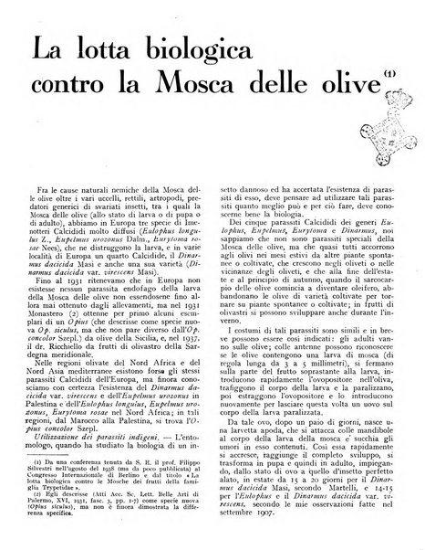 L'olivicoltore bollettino settimanale della Società nazionale degli olivicoltori