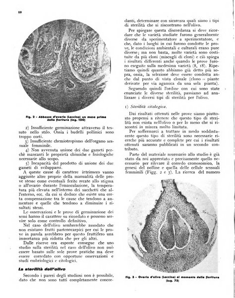 L'olivicoltore bollettino settimanale della Società nazionale degli olivicoltori