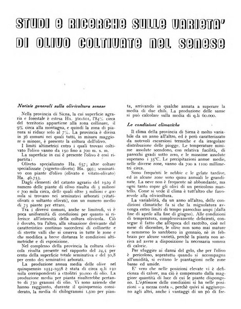 L'olivicoltore bollettino settimanale della Società nazionale degli olivicoltori