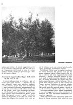 giornale/RML0024085/1940/unico/00000132