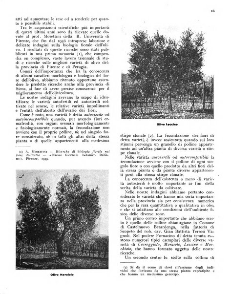 L'olivicoltore bollettino settimanale della Società nazionale degli olivicoltori