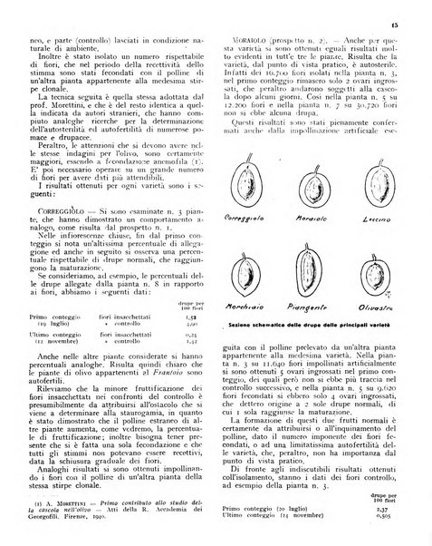 L'olivicoltore bollettino settimanale della Società nazionale degli olivicoltori