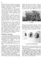 giornale/RML0024085/1940/unico/00000216