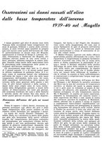 giornale/RML0024085/1940/unico/00000317