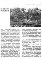 giornale/RML0024085/1940/unico/00000323