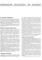 giornale/RML0024085/1940/unico/00000393
