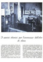 giornale/RML0024085/1940/unico/00000428