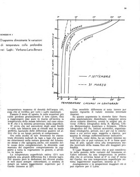 L'olivicoltore bollettino settimanale della Società nazionale degli olivicoltori