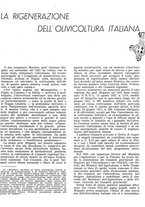 giornale/RML0024085/1941/unico/00000085