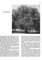giornale/RML0024085/1941/unico/00000087