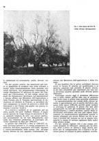 giornale/RML0024085/1941/unico/00000088