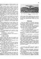 giornale/RML0024085/1941/unico/00000099