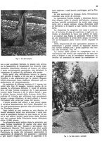 giornale/RML0024085/1941/unico/00000105