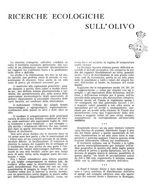 L'olivicoltore bollettino settimanale della Società nazionale degli olivicoltori