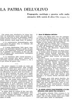 giornale/RML0024085/1941/unico/00000163