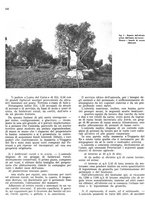 giornale/RML0024085/1941/unico/00000174