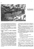 giornale/RML0024085/1941/unico/00000178