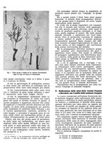 giornale/RML0024085/1941/unico/00000200