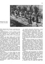 giornale/RML0024085/1941/unico/00000245