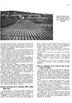 giornale/RML0024085/1941/unico/00000259