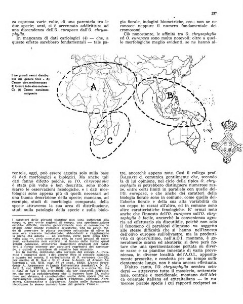 L'olivicoltore bollettino settimanale della Società nazionale degli olivicoltori