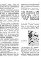 giornale/RML0024085/1941/unico/00000295